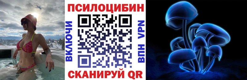 Галлюциногенные грибы Psilocybe  мориарти клад  Нелидово 