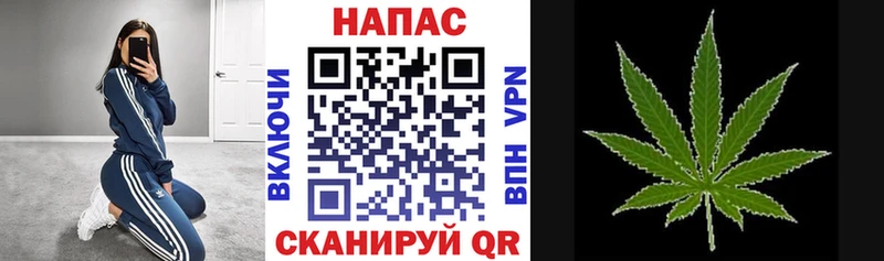 Шишки марихуана гибрид  Нелидово 